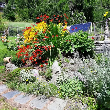 Bed & Breakfast Alpino Chiesa in Valmalenco