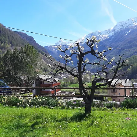 Alpino 3*